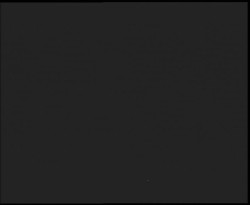 Nástup na běžecké tratě