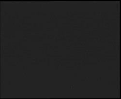 Nástup na běžecké tratě