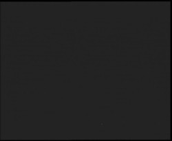 Nástup na běžecké tratě