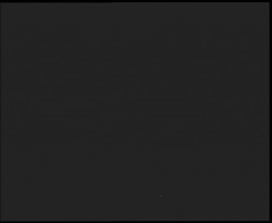 Nástup na běžecké tratě