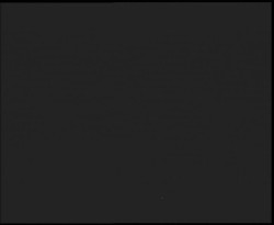 Nástup na běžecké tratě