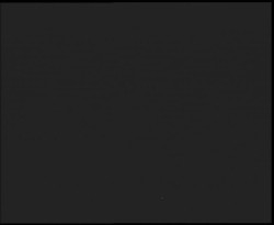 Nástup na běžecké tratě