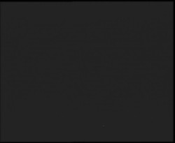 Nástup na běžecké tratě