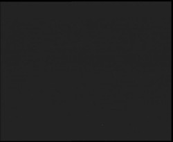 Nástup na běžecké tratě