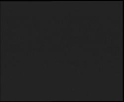 Nástup na běžecké tratě