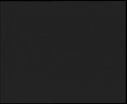 Nástup na běžecké tratě