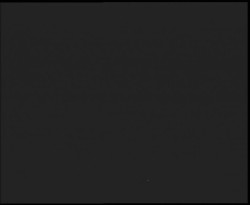 Nástup na běžecké tratě