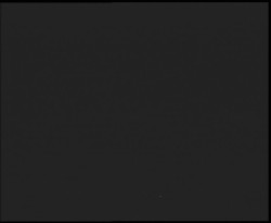 Nástup na běžecké tratě