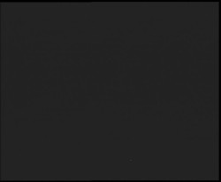 Nástup na běžecké tratě