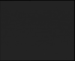 Nástup na běžecké tratě