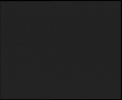 Nástup na běžecké tratě