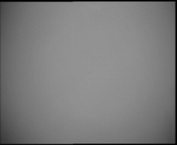 Nástup na běžecké tratě