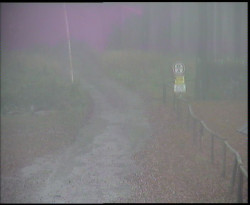 Nástup na běžecké tratě