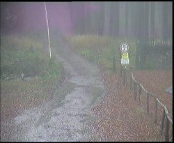 Nástup na běžecké tratě