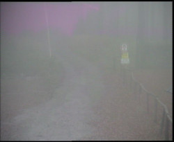 Nástup na běžecké tratě