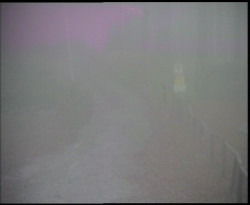 Nástup na běžecké tratě