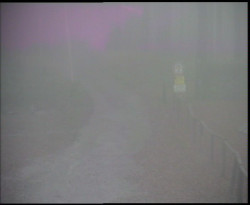 Nástup na běžecké tratě