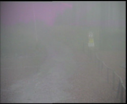 Nástup na běžecké tratě