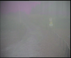 Nástup na běžecké tratě