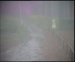 Nástup na běžecké tratě