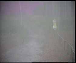 Nástup na běžecké tratě