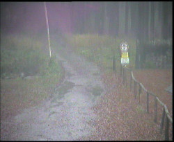 Nástup na běžecké tratě