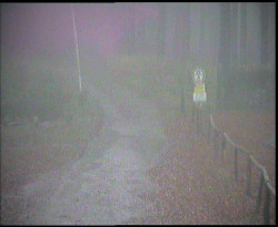 Nástup na běžecké tratě