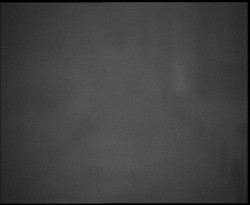 Nástup na běžecké tratě