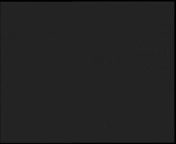 Nástup na běžecké tratě