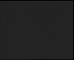 Nástup na běžecké tratě