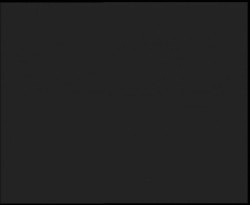 Nástup na běžecké tratě