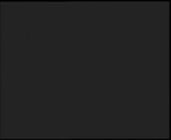 Nástup na běžecké tratě