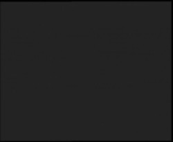 Nástup na běžecké tratě