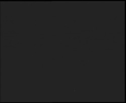 Nástup na běžecké tratě