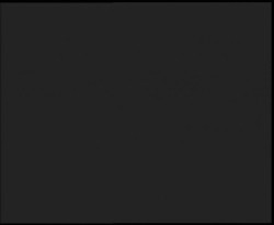 Nástup na běžecké tratě