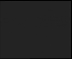 Nástup na běžecké tratě