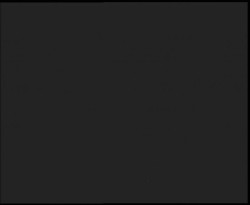 Nástup na běžecké tratě