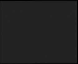 Nástup na běžecké tratě