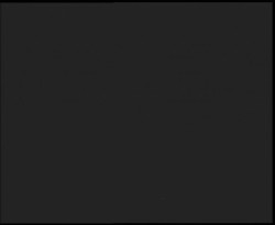 Nástup na běžecké tratě