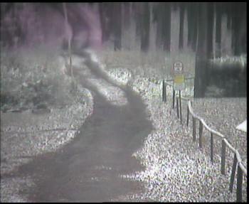 Snímek 18.11.2025 v 07:30