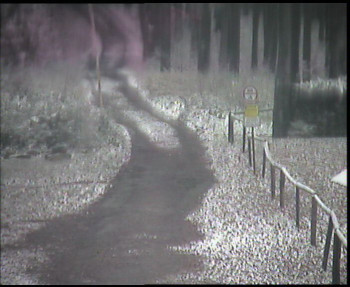 Snímek 18.11.2025 v 07:45