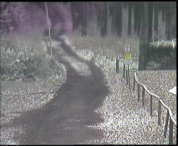 Nástup na běžecké tratě