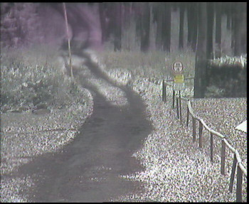 Snímek 18.11.2025 v 08:30