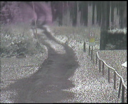 Nástup na běžecké tratě