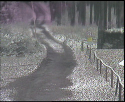 Nástup na běžecké tratě