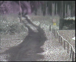 Nástup na běžecké tratě