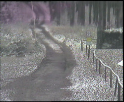 Nástup na běžecké tratě