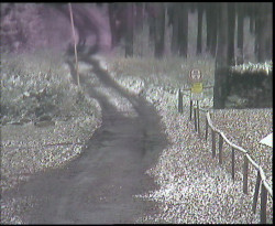 Nástup na běžecké tratě