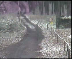 Nástup na běžecké tratě