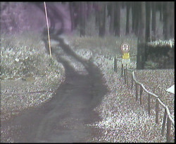 Nástup na běžecké tratě